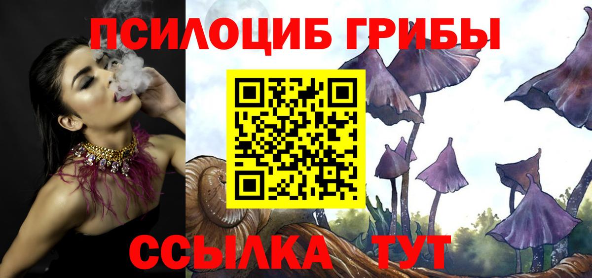 сколько стоит  Галлюциногенные грибы мухоморы  Вход с VPN  Ступино 